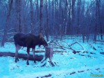 imag0448-lo-0-000121-20-3