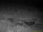 imag0456-ens-2-0-mov_snap