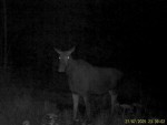 imag0461-lo-samka-0-mov_s