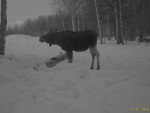 imag0477-lo-0-mov_snapsho