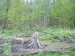 imag0485-ks-samka-0-00008