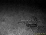 imag0488-ens-0-mov_snapsh