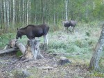 imag0500-lo-samka-i-2-tel
