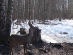imag0526-ks-samka-0-00003
