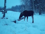 imag0552-lo-dvoe-0-000871
