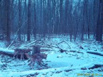 imag0654-vo-2-esche-00-00