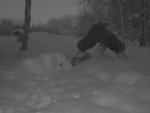 imag0747-lo-derutsya-000-