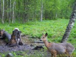 imag0775-ks-samka-0-mov_s