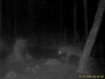 imag0799-vo-0-mov_snapsho