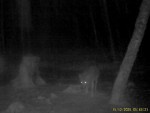 imag0800-vo-0-mov_snapsho