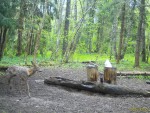 imag0842-ks-samka-0-mov_s