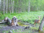 imag0917-ks-samka-0-mov_s