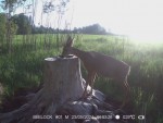 imag0966-ks-samka-0-00010