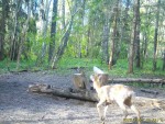 imag0989-ks-samka-0-mov_s