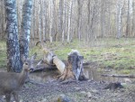 imag1031-ks-samka-0-00005