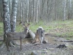 imag1194-ks-samka-0-00027