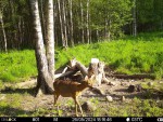 imag2096-ks-samka-0