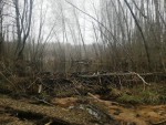 img-20230414-wa0020