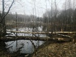 img-20230414-wa0021