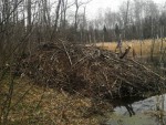 img-20230414-wa0022