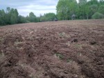 img-20230518-wa0006