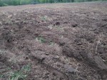 img-20230518-wa0016
