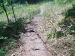 img-20230626-wa0000