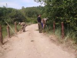 img-20230630-wa0006