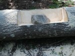 img-20230705-wa00060