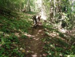 img-20230710-wa0007