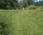 img-20230722-wa0005
