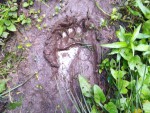 img-20230731-wa0000
