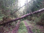img-20230823-wa0011