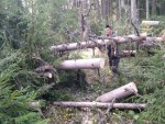img-20230823-wa0012