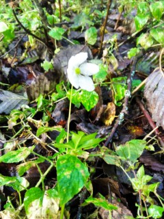 img-20231016-wa00040