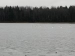 img-20231028-wa0000