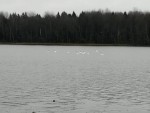 img-20231028-wa0001