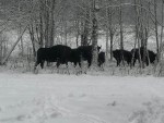 img-20231125-wa0003