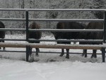 img-20231125-wa0004