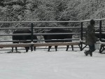 img-20231125-wa0005