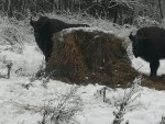 img-20231125-wa0010