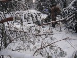 img-20240116-wa0001