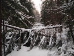 img-20240116-wa0004