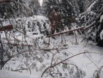 img-20240116-wa0005