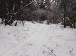 img-20240126-wa0005