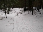 img-20240126-wa0007