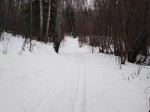 img-20240126-wa0011