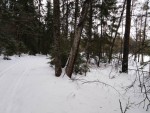 img-20240126-wa0031