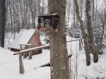 img-20240203-wa0001