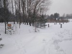 img-20240203-wa0002
